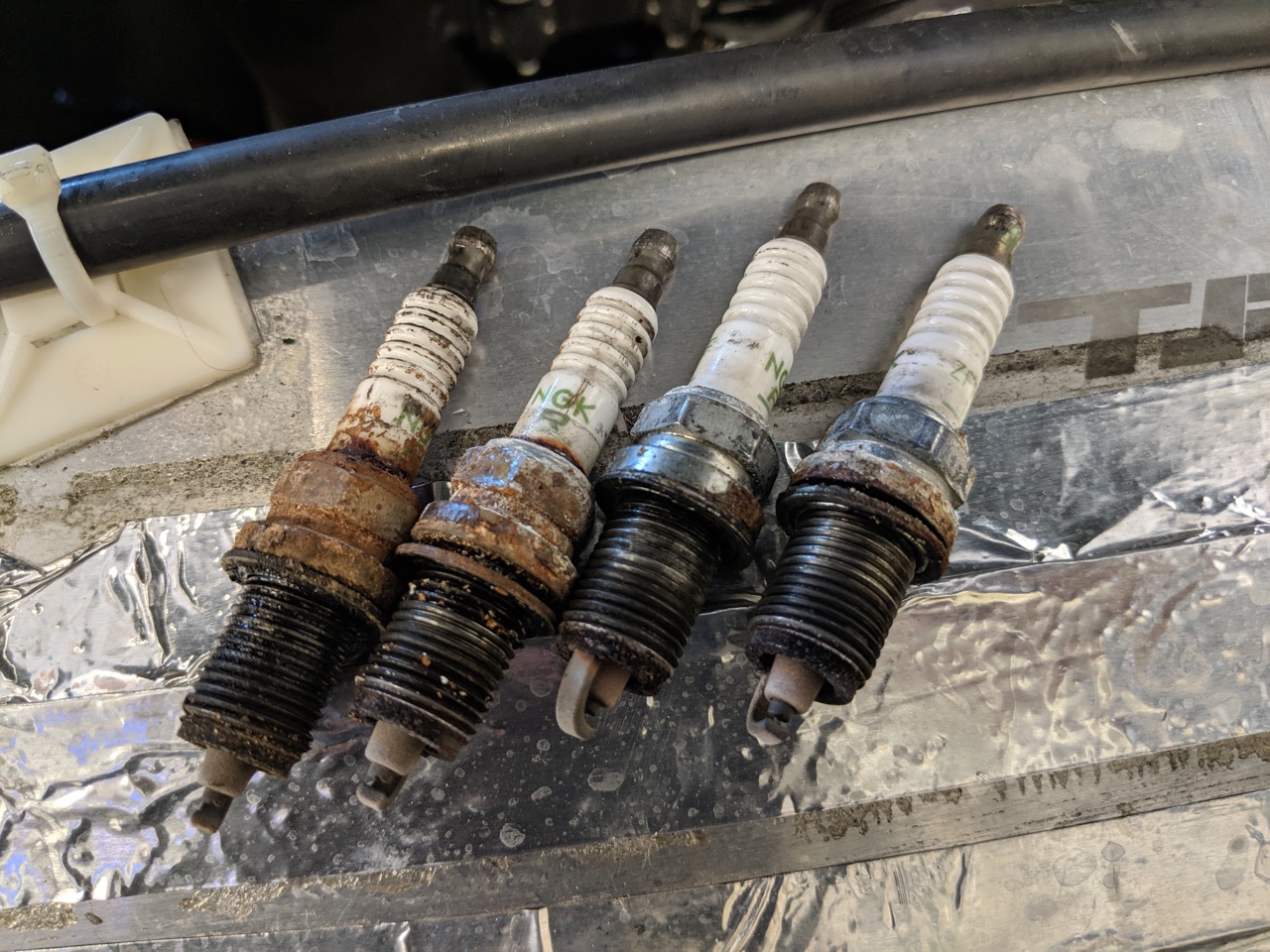 How "RainProof" are engines? Grassroots Motorsports forum